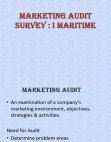 Marketing Audit