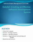 Creating Effective Software Development System