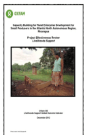 Effectiveness Review: Capacity Building for Rural Enterprise Development for Small Producers, Nicaragua