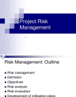 Project Risk Management