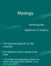 the function of skeletal system in a horse