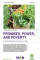 Promises, Power, and Poverty: Corporate land deals and rural women in Africa