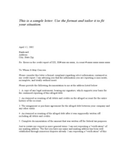 Dispute Letter Template Word