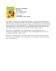 Scribd Document 28189311