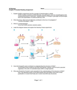 Ap Biology - Amazon.de