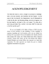 scope and delimination of piracy of the philippines