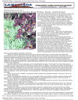 Scribd Document 48068898