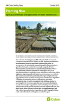 Planting Now: Agricultural challenges and opportunities for Haiti’s reconstruction