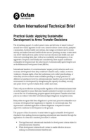 Practical Guide: Applying sustainable development to arms-transfer decisions