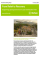From Relief to Recovery: Supporting good governance in post-earthquake Haiti