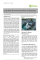 Large Scale Environmental Clean up Campaigns