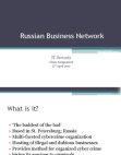 Russian Business Networks