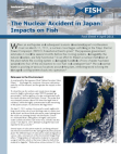 Nuclear Accident in Japan