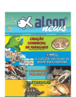 Alcon News 7 - Janeiro 2005