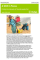 A Shift in Focus: Putting the interests of Somali people first