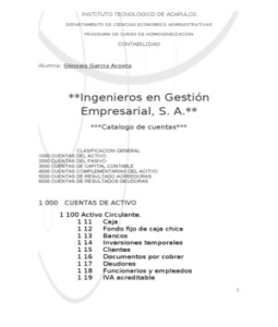 Catalogo+de+cuentas+de+una+empresa+de+servicios