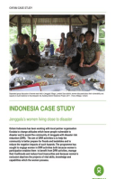 Indonesia Case Study: Jenggala's women living close to disaster