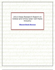 2012 Deep Research Report on Global and China Solar Cell Paste Industry
